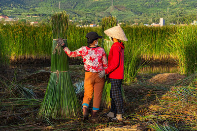 agriculture