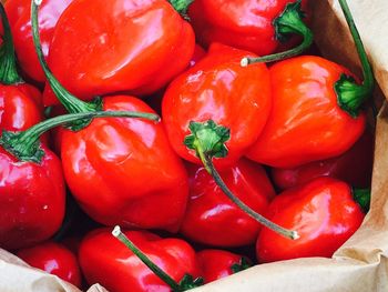 Full frame shot of red chili peppers