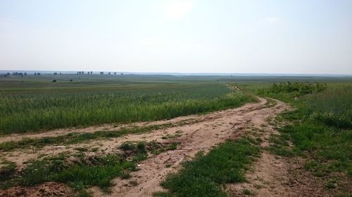 Scenic view of field against sky
