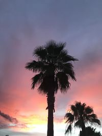 Low angle view of silhouette palm tree against romantic sky