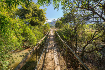 Railroad tracks amidst trees in forest