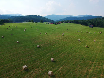 Scenic view of field against sky