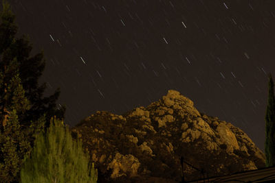 Scenic view of trees against sky at night