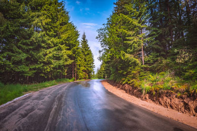 Country road amidst trees in forest against sky