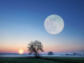 Scenic view of moon on field against sky
