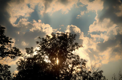 Low angle view of silhouette trees against sky at sunset