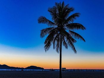 Palm tree by sea against sky during sunset