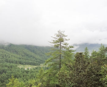 Scenic view of green landscape against sky