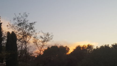 Silhouette trees against sky during sunset