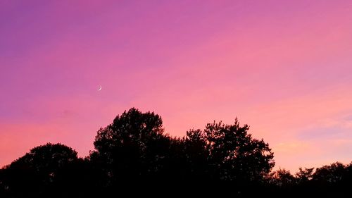 Low angle view of silhouette trees against sky during sunset