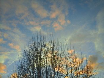 Low angle view of silhouette trees against sky at sunset