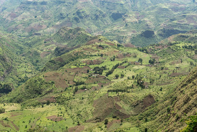 High angle view of agricultural field