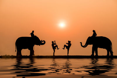 Silhouette people on water against orange sky