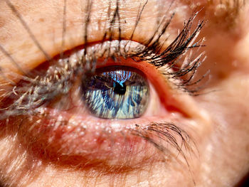 Extreme close-up of human eye