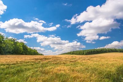 Scenic view of field against sky