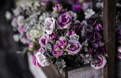 High angle view of purple flowers