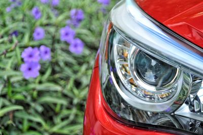 High angle view of car with flowers