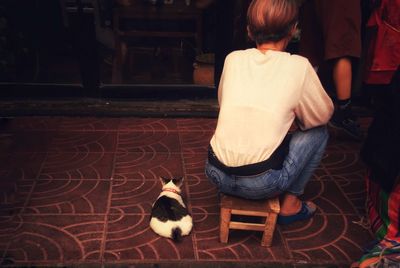 Rear view of woman with cat sitting at home