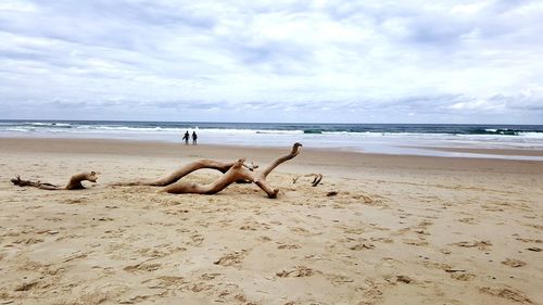 Beach against sky