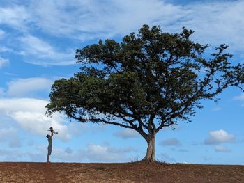 Tree on field against sky