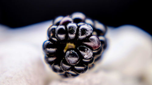 Close-up of black fruit