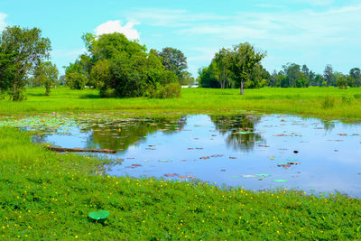 Scenic view of lake