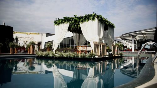 Reflection of trees in swimming pool