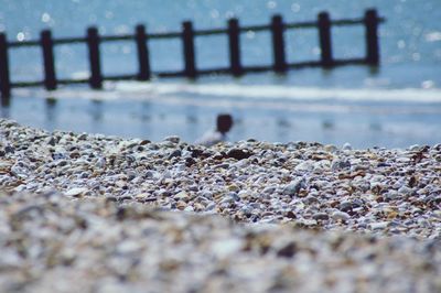 Stones on beach