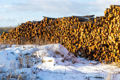  firewood stack, stacked logs for transport to the port, energy crisis, fuel for home heating, winter