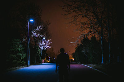 Silhouette man and illuminated tree at night