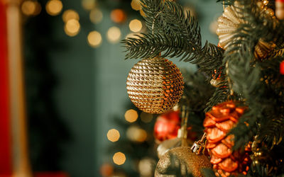 Close-up of illuminated christmas tree