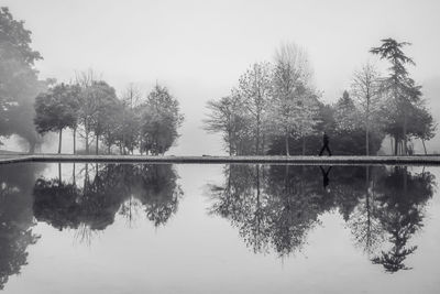 Reflection of trees in lake