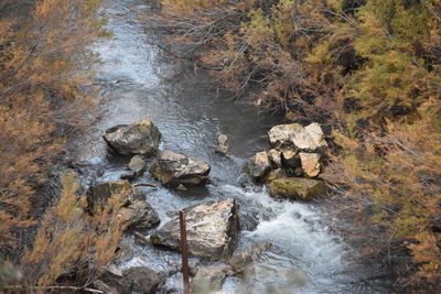 Close-up high angle view of water