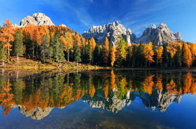 Scenic view of lake by trees against sky