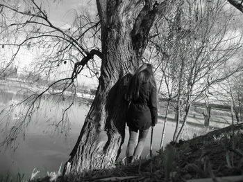 Low angle view of horse on tree against sky