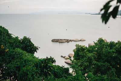 High angle view of trees and sea against sky