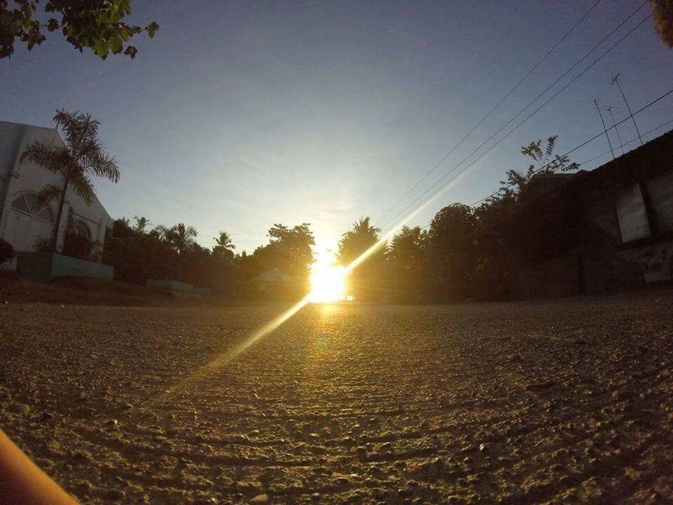 sun, tree, sunlight, sunbeam, sunset, lens flare, sky, tranquility, tranquil scene, landscape, bare tree, nature, sunny, outdoors, no people, scenics, beauty in nature, bright, idyllic, blue, non-urban scene