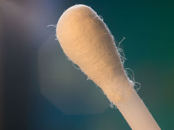 Close-up of cotton swab