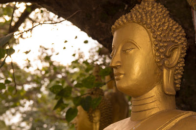 Close-up of statue of buddha