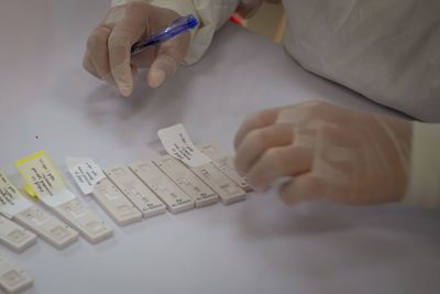 Close-up of man working in pen