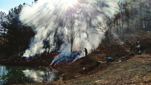 Man standing by forest fire