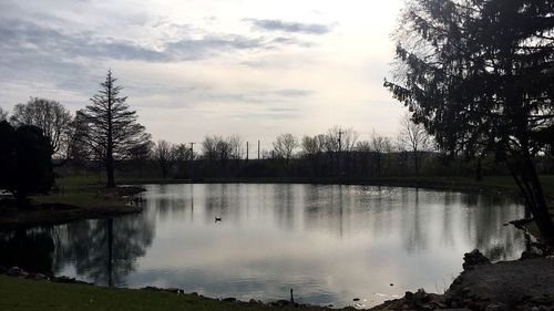 Scenic view of lake in forest against sky