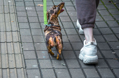 Low section of man standing on footpath