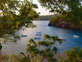 High angle view of trees by sea