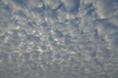 Low angle view of sky