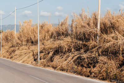 Road by field against sky