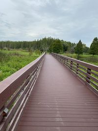 Boardwalk bridge florida