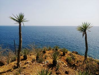 Scenic view of sea against clear sky