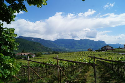 Scenic view of field against cloudy sky