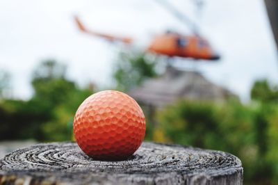 Close-up of ball on tree